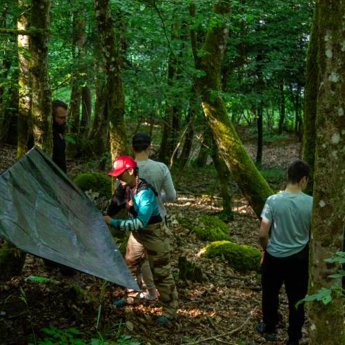 stage survie forêt andragops académie 41